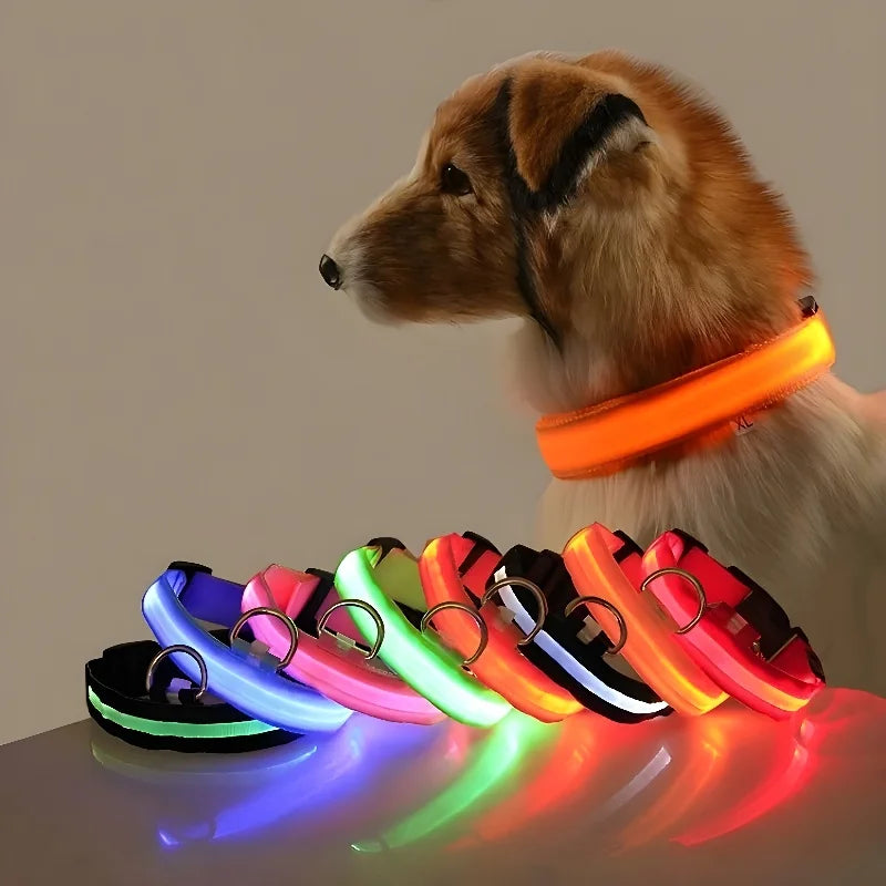 Coleira GlowSafe - Coleira LED para Cães